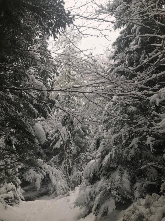 La Source D'En Haut Valcivieres Exterior foto